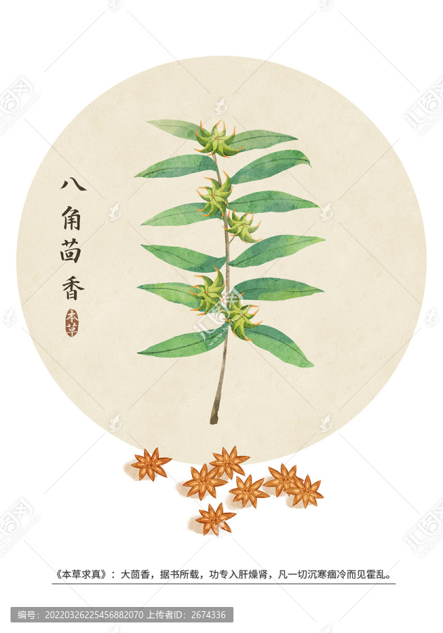 八角茴香