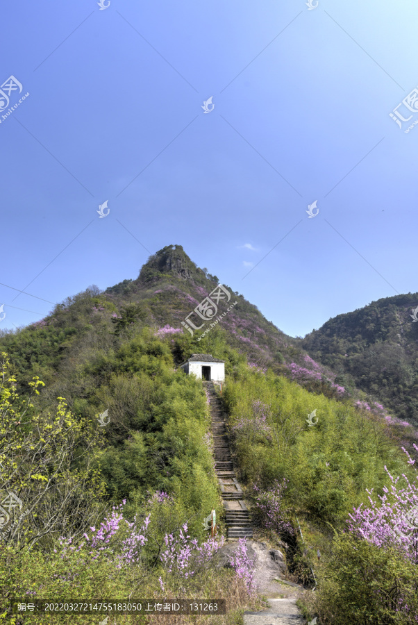 浙江兰溪转轮岩紫荆花步云亭