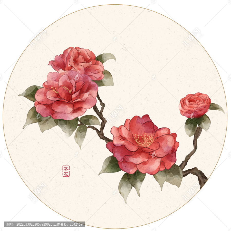 工筆茶花