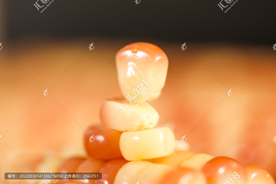 花糯小玉米