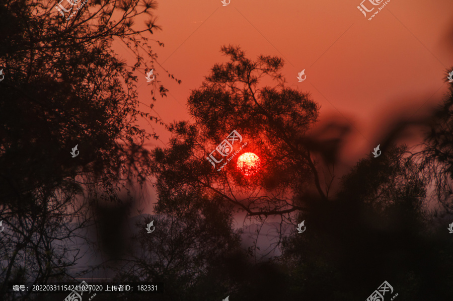 夕阳残阳树影风光