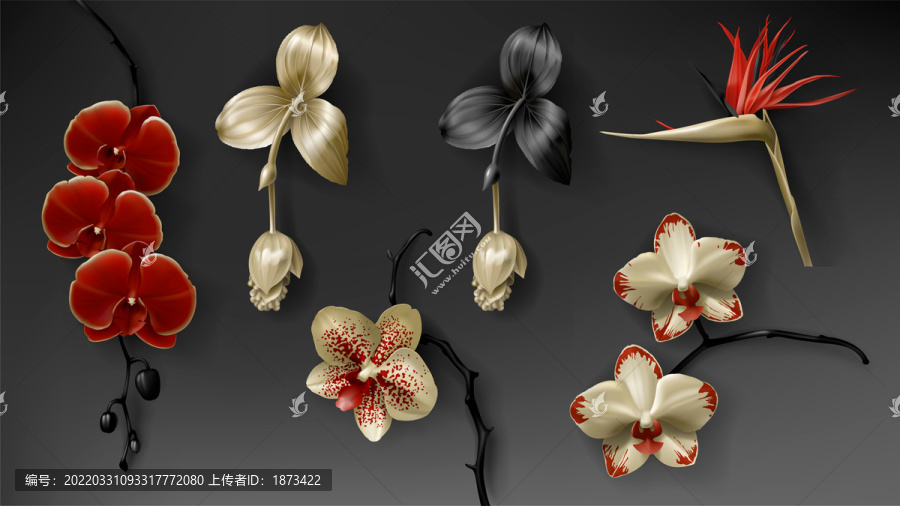鑲金喜氣熱帶植物元素