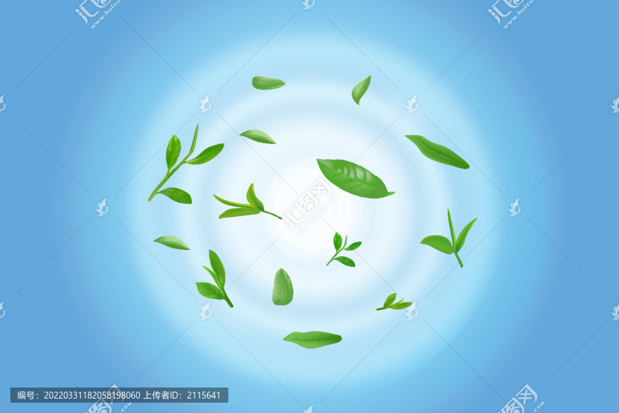 清水波紋綠茶葉子茶葉嫩葉嫩芽