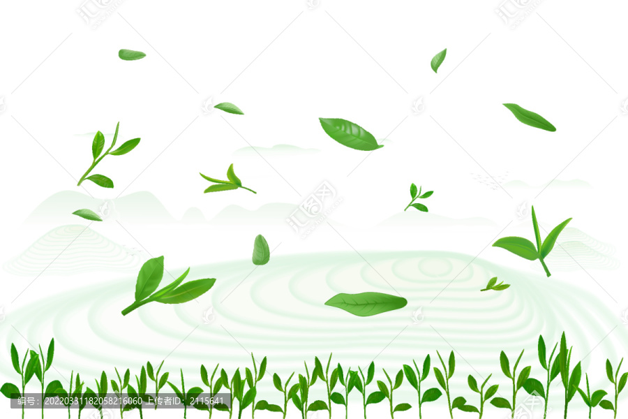 綠茶葉子茶葉嫩葉茶山矢量圖