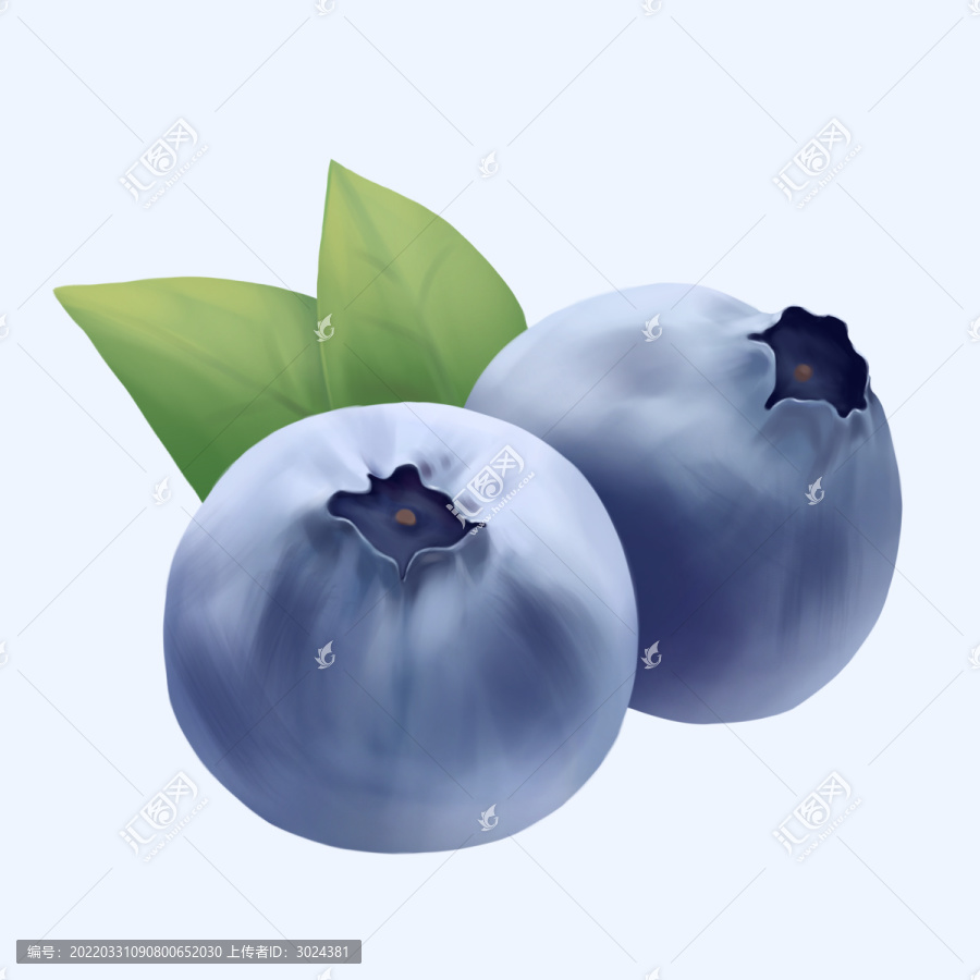 手繪藍莓
