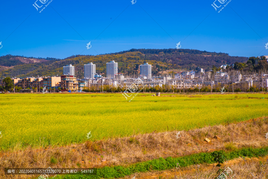 春天田野