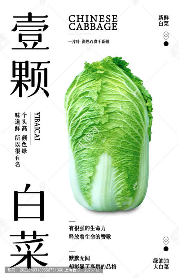 一顆白菜