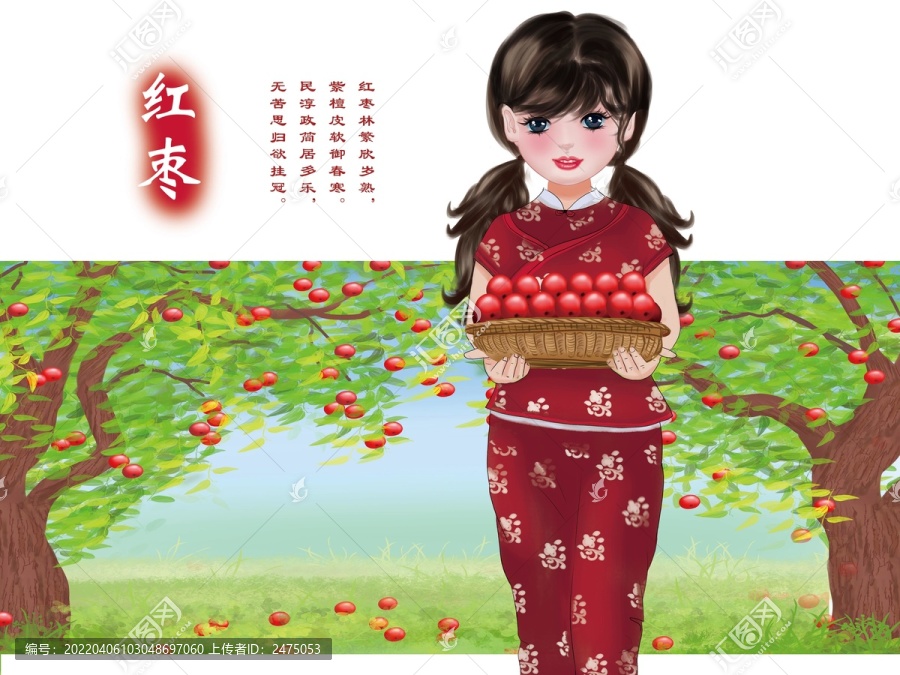 紅棗包裝插畫