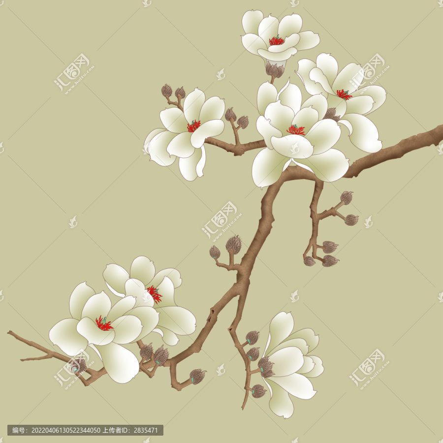 玉蘭花