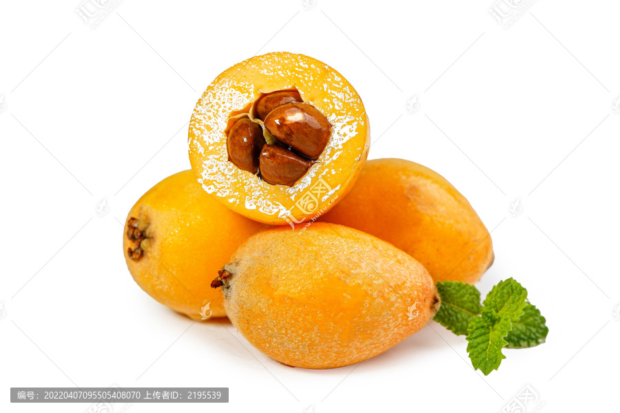 枇杷