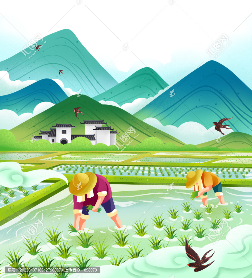 種水稻插畫