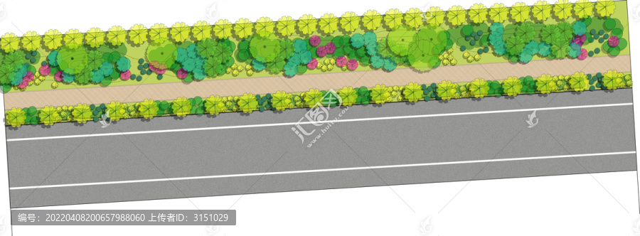 市政道路景观设计彩色平面图