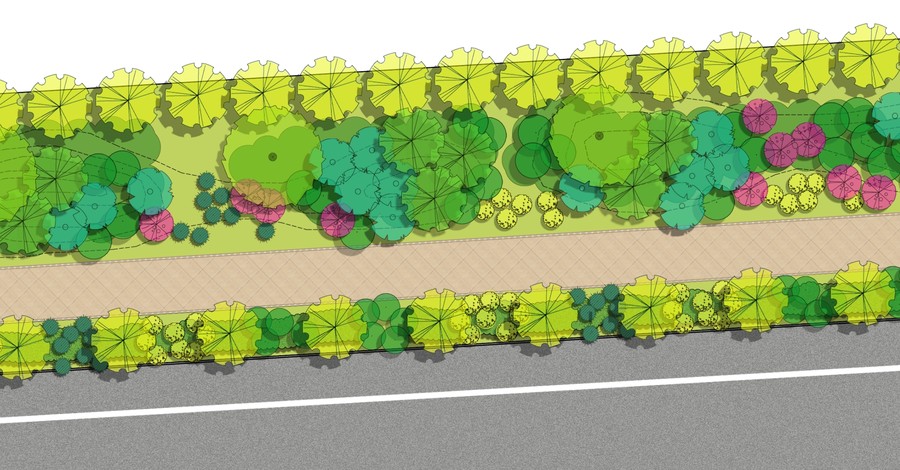 市政道路景观设计彩色平面图