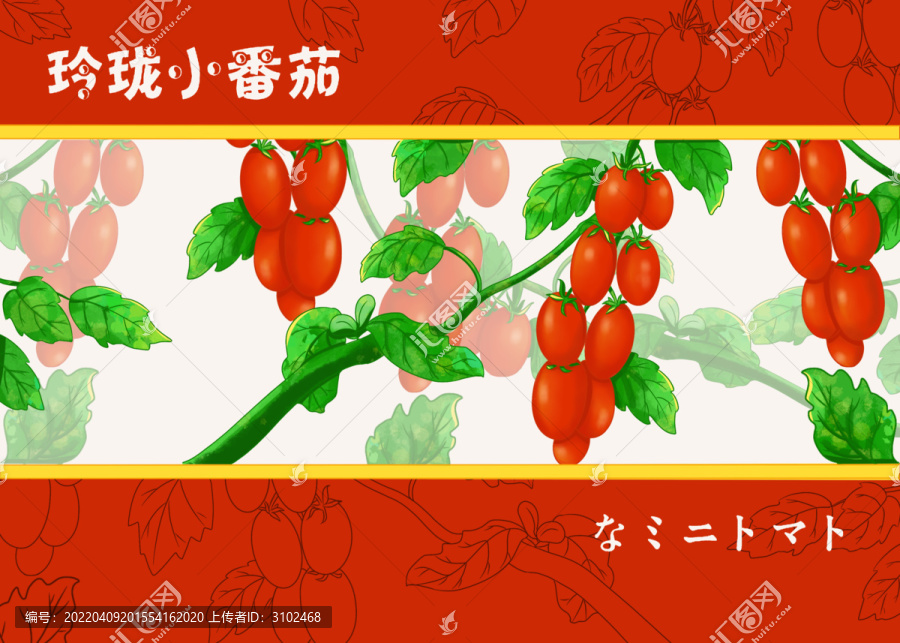 小番茄包裝