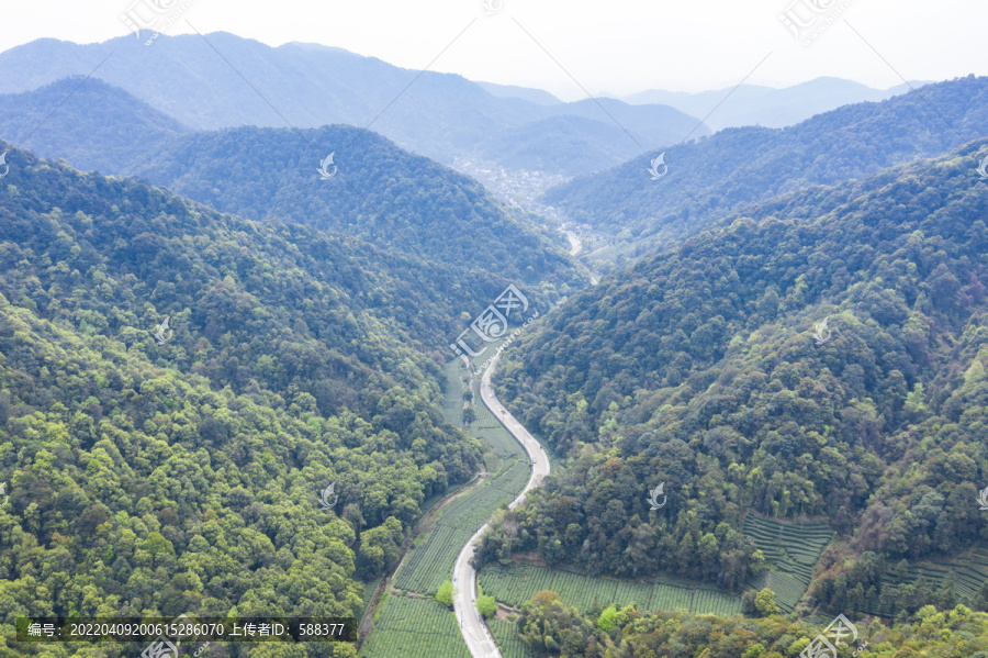 浙江杭州西湖龙井产地梅家坞