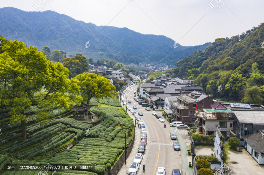 浙江杭州西湖龙井产地梅家坞