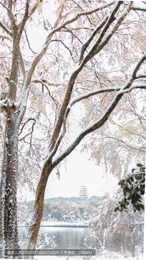 株洲市神农公园雪景