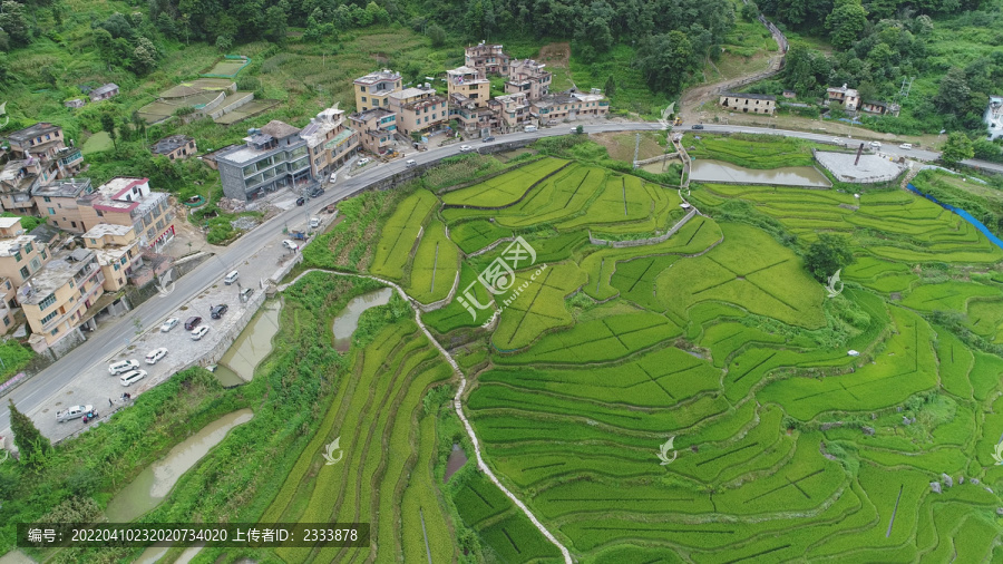 元陽梯田