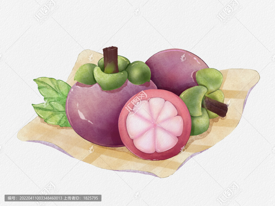 手繪山竹插畫(huà)