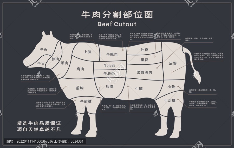 牛肉分解圖