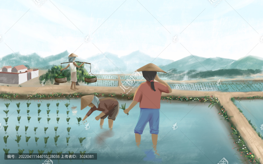 插秧插畫