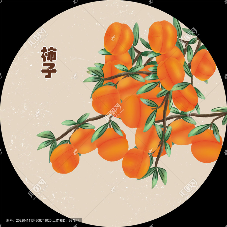 手繪柿子包裝插畫