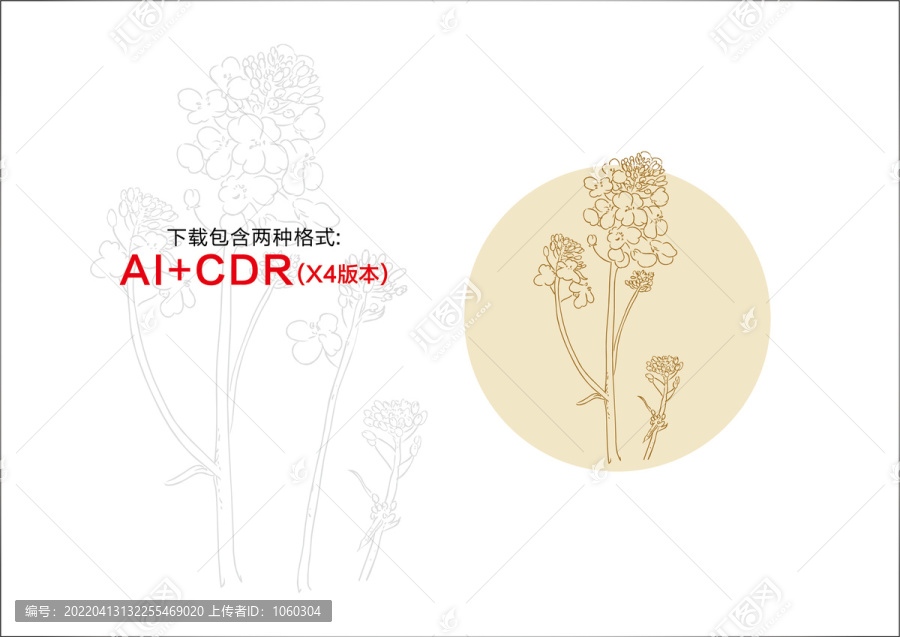 油菜花手繪油菜花插畫