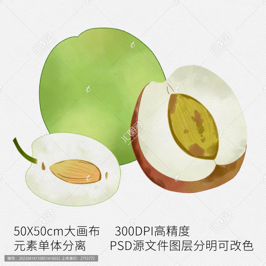 手繪冬棗