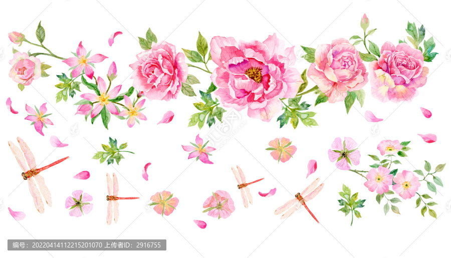 玫瑰蜻蜓圖