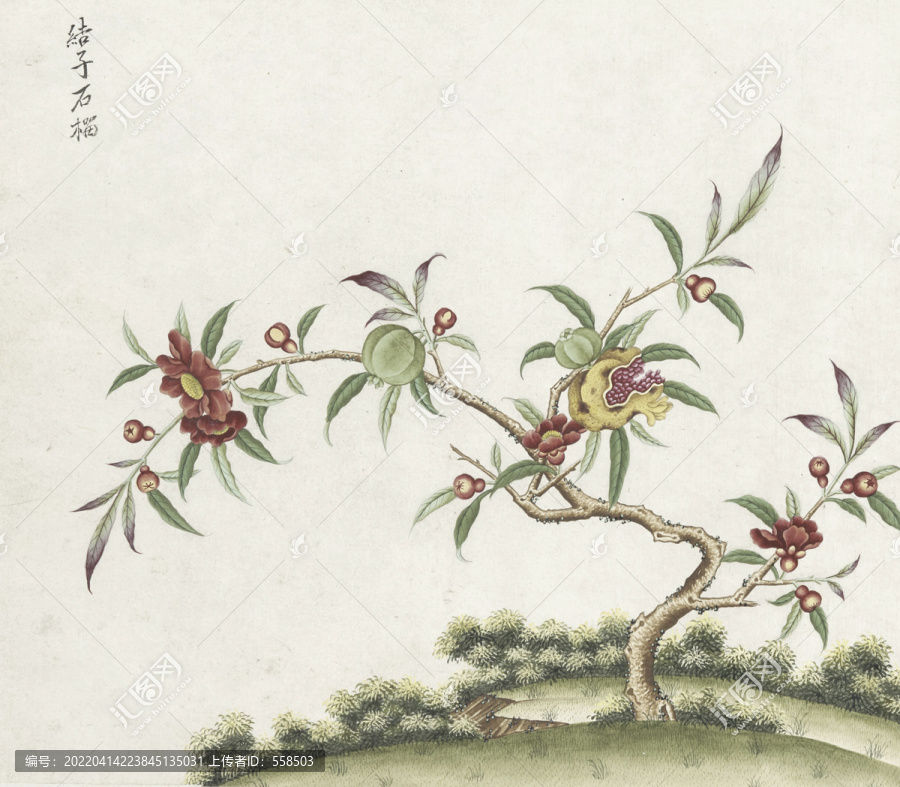 石榴花水彩花卉國畫素材插畫