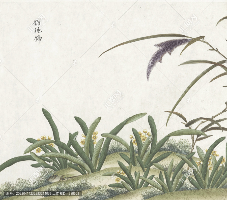 鋪地錦水彩花卉國畫素材插畫