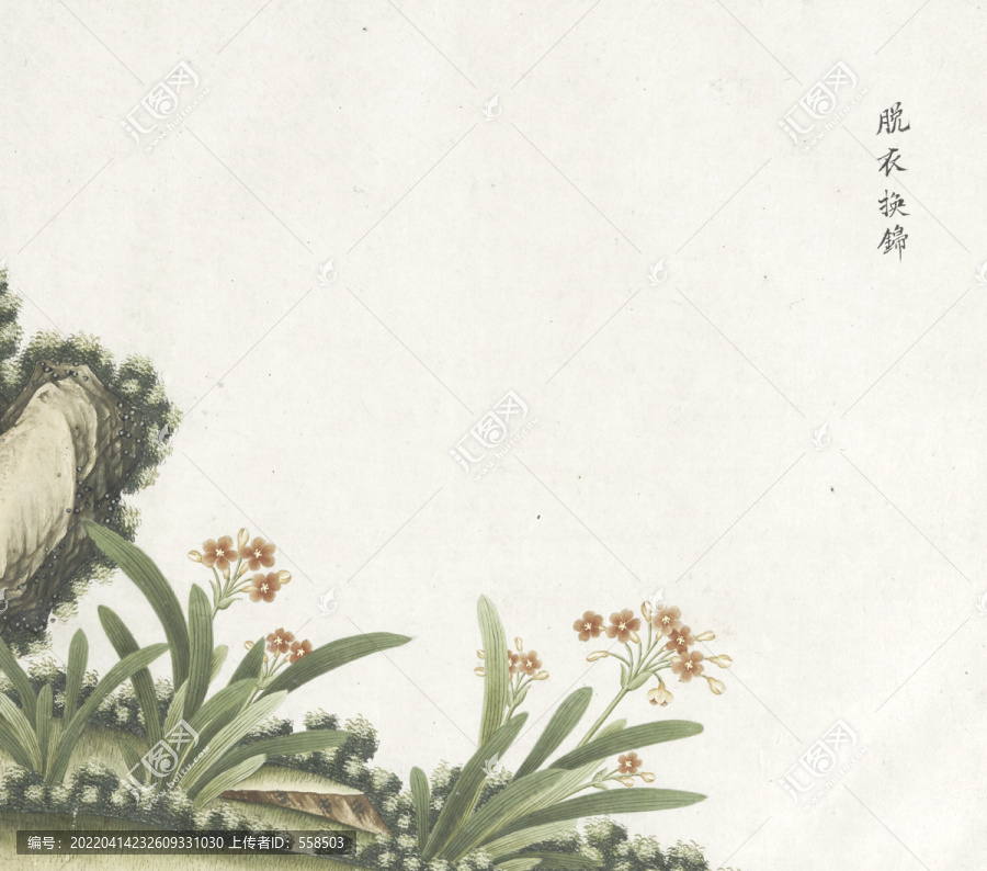 脫衣?lián)Q錦水彩花卉國畫素材插畫
