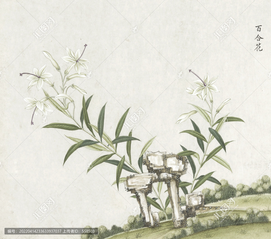 百合花水彩花卉國畫素材插畫