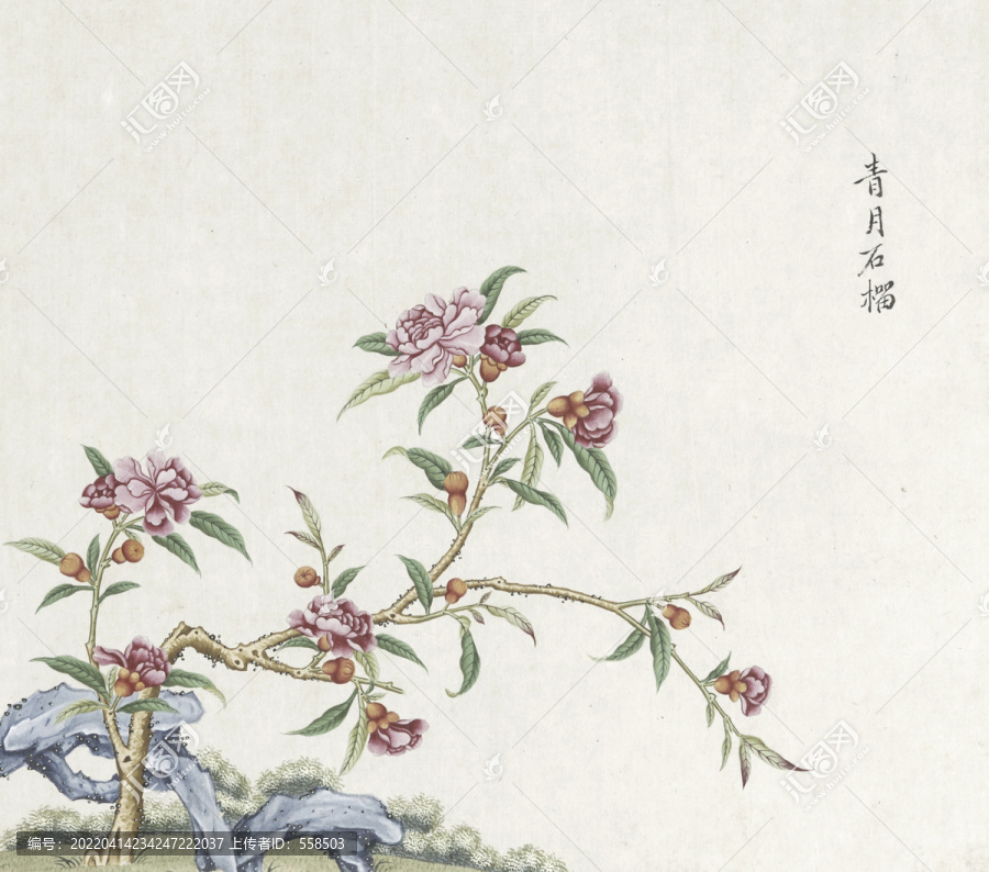 青月石榴花水彩國(guó)畫素材插畫