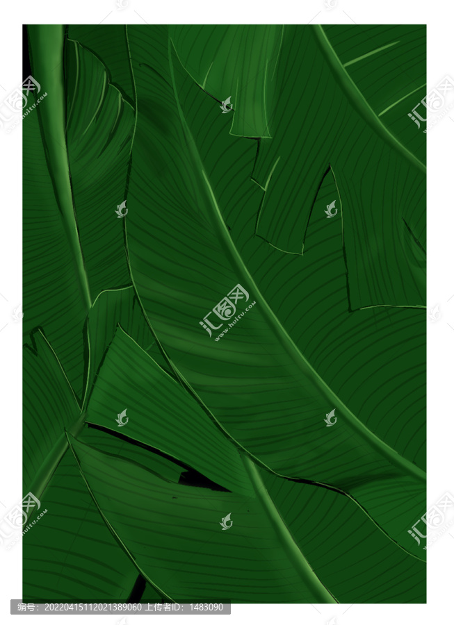 手繪植物芭蕉葉
