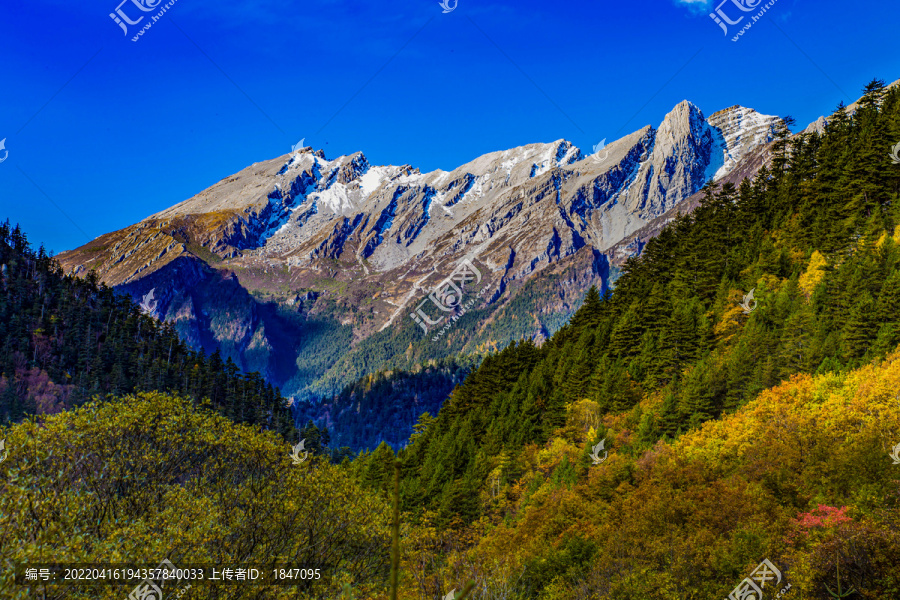 九寨沟原始森林