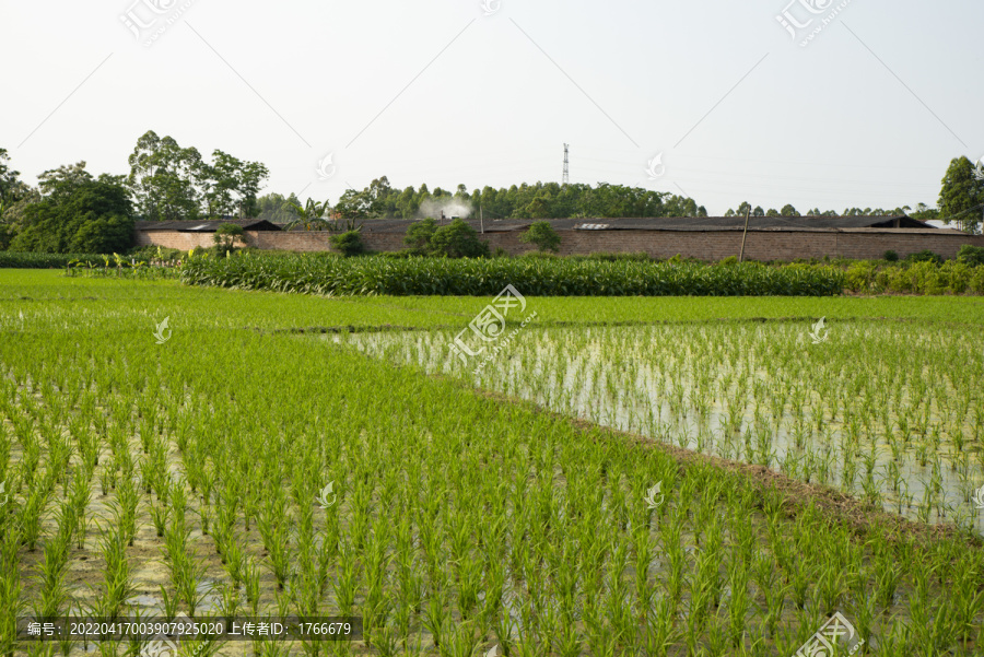 田园风光