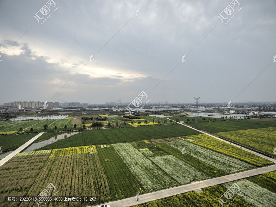 浙江兰溪岩头村油菜花田航拍