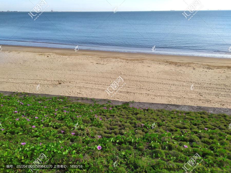 海边草地沙滩