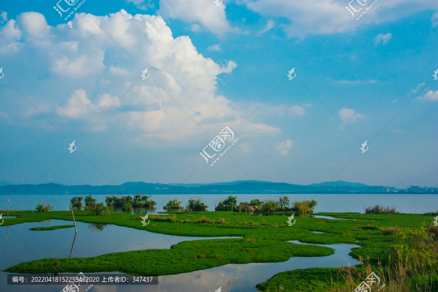 云南滇池湿地风光