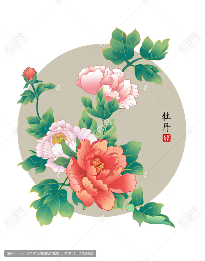 牡丹花