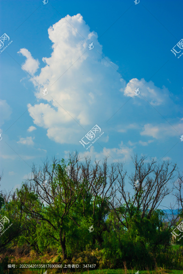 昆明滇池湿地风光