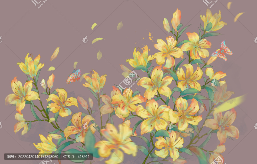 金百合花