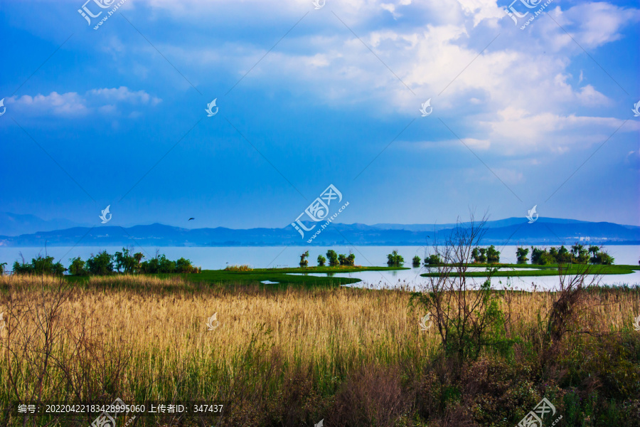 云南昆明滇池湿地风光