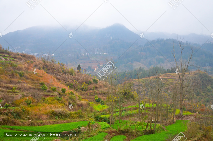 山区农村