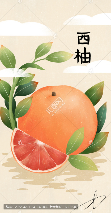 手繪西柚