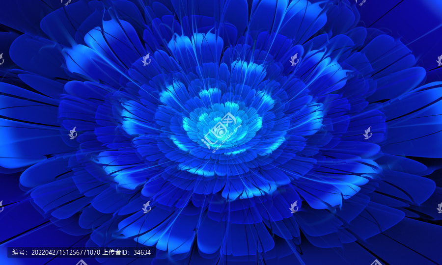 藍色花朵