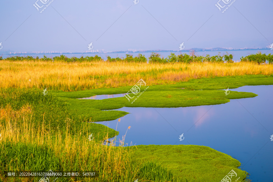 滇池生态湿地