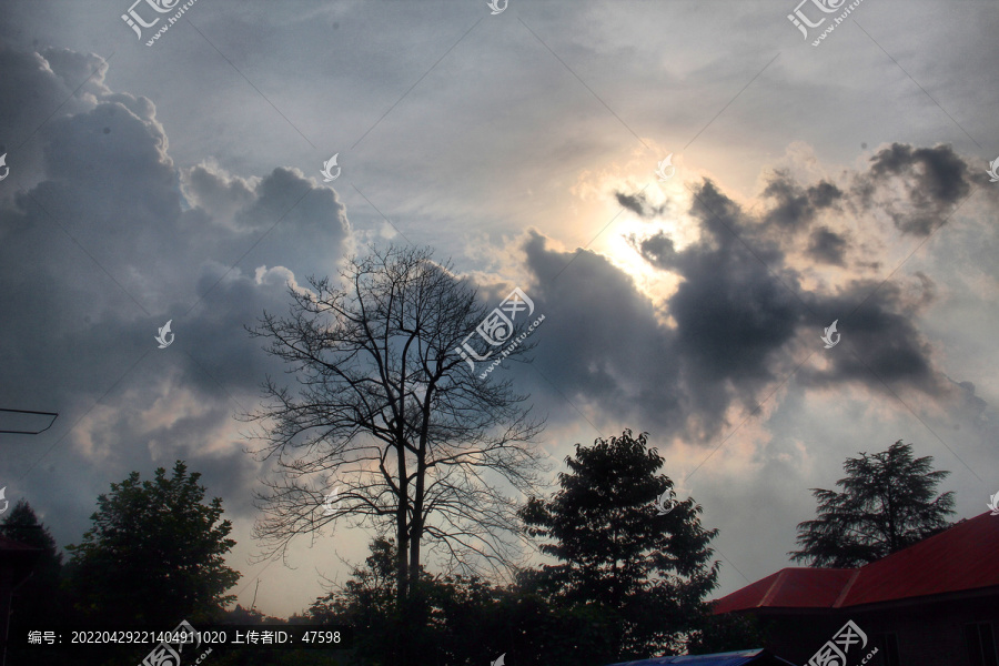 夕阳庐山风景松林剪影