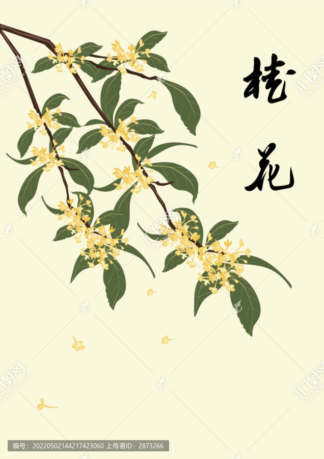 手繪桂花矢量圖插畫